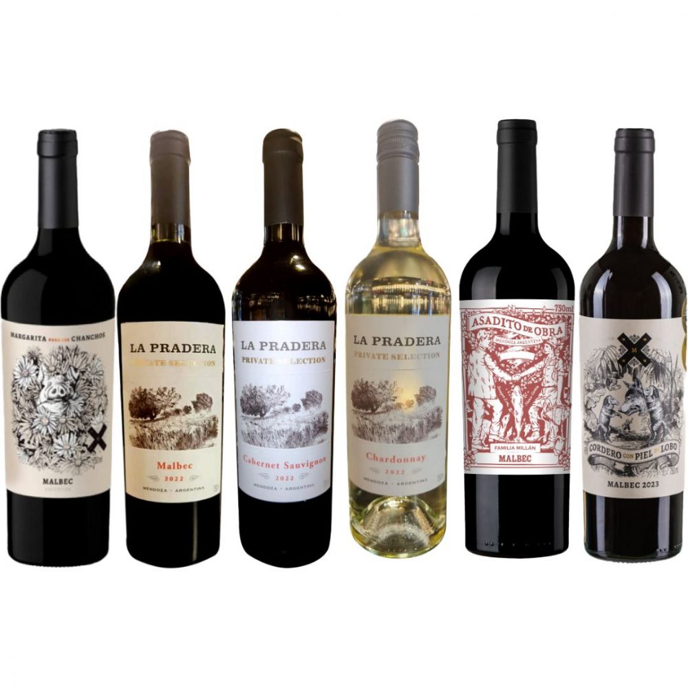 Kit Vinhos Argentinos