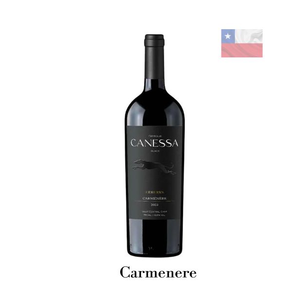 Canessa
