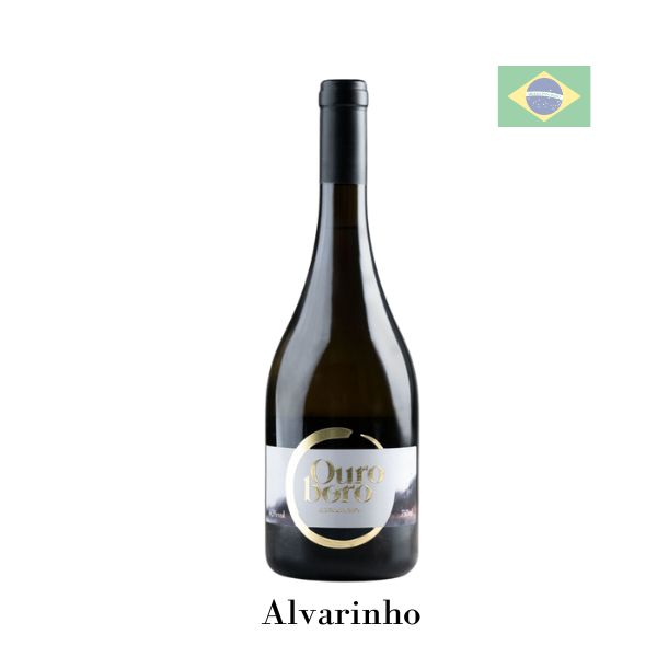 Berkano Ouro Boro