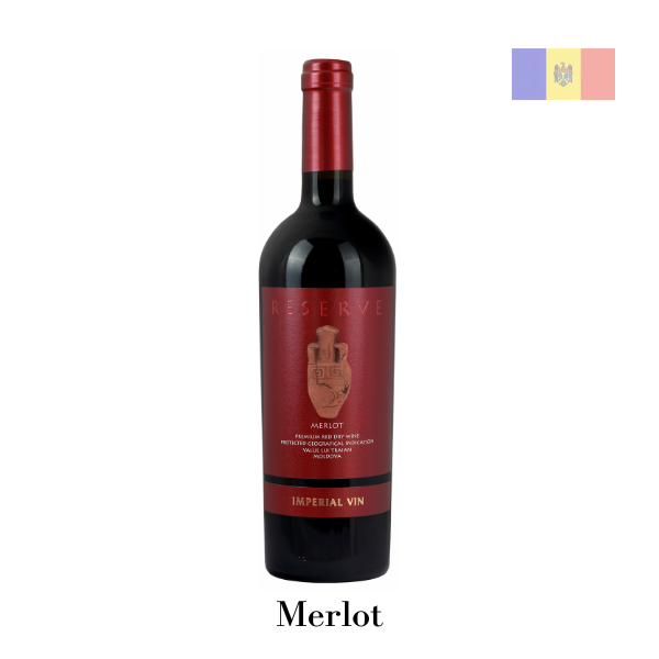 Amphora