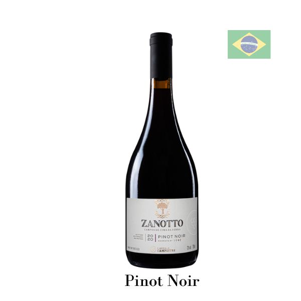 Zanotto