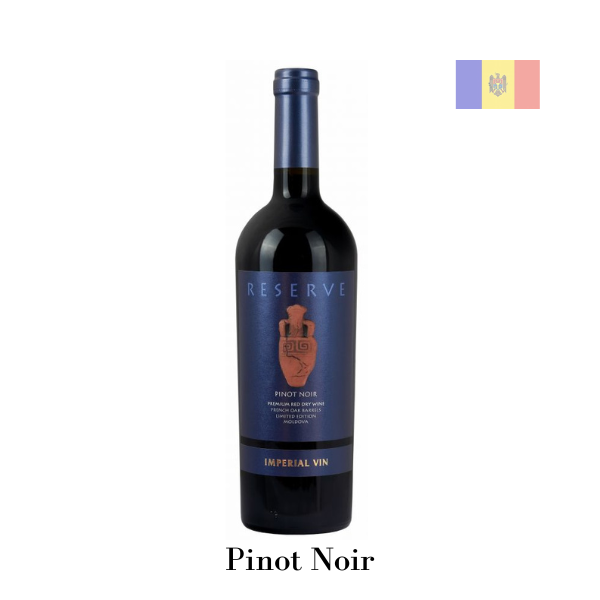 Amphora